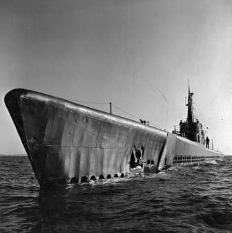 USS Capelin