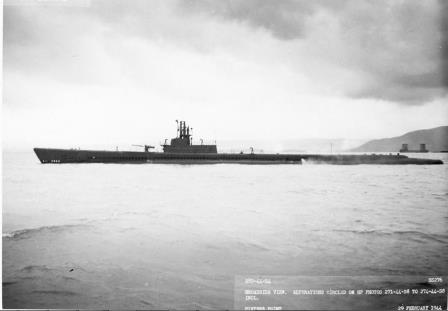 USS Sawfish (SS‑46)