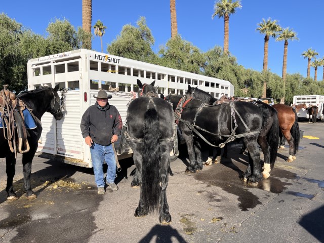 2024 Phoenix Veterans Day Photos