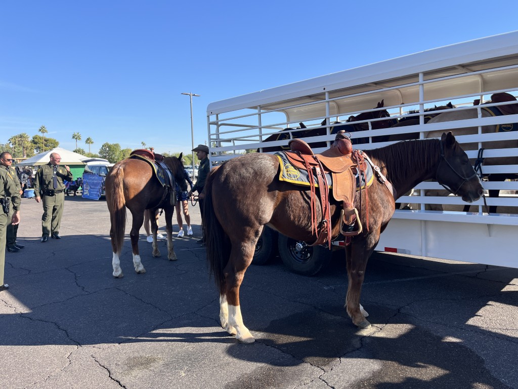 2025 Phoenix Veterans Day Photos